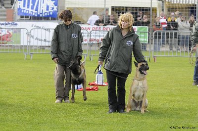Remise des Prix 103.JPG - CHIENPLUS.COM
